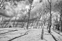 Balt - Slowinski park narodowy 26